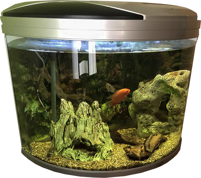Download PNG image - Fish Tank Aquarium Gallon Transparent PNG 