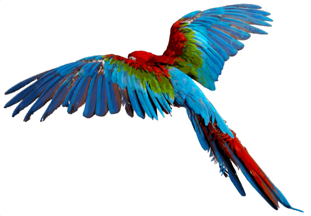 Download PNG image - Flying Parrot Transparent Background 