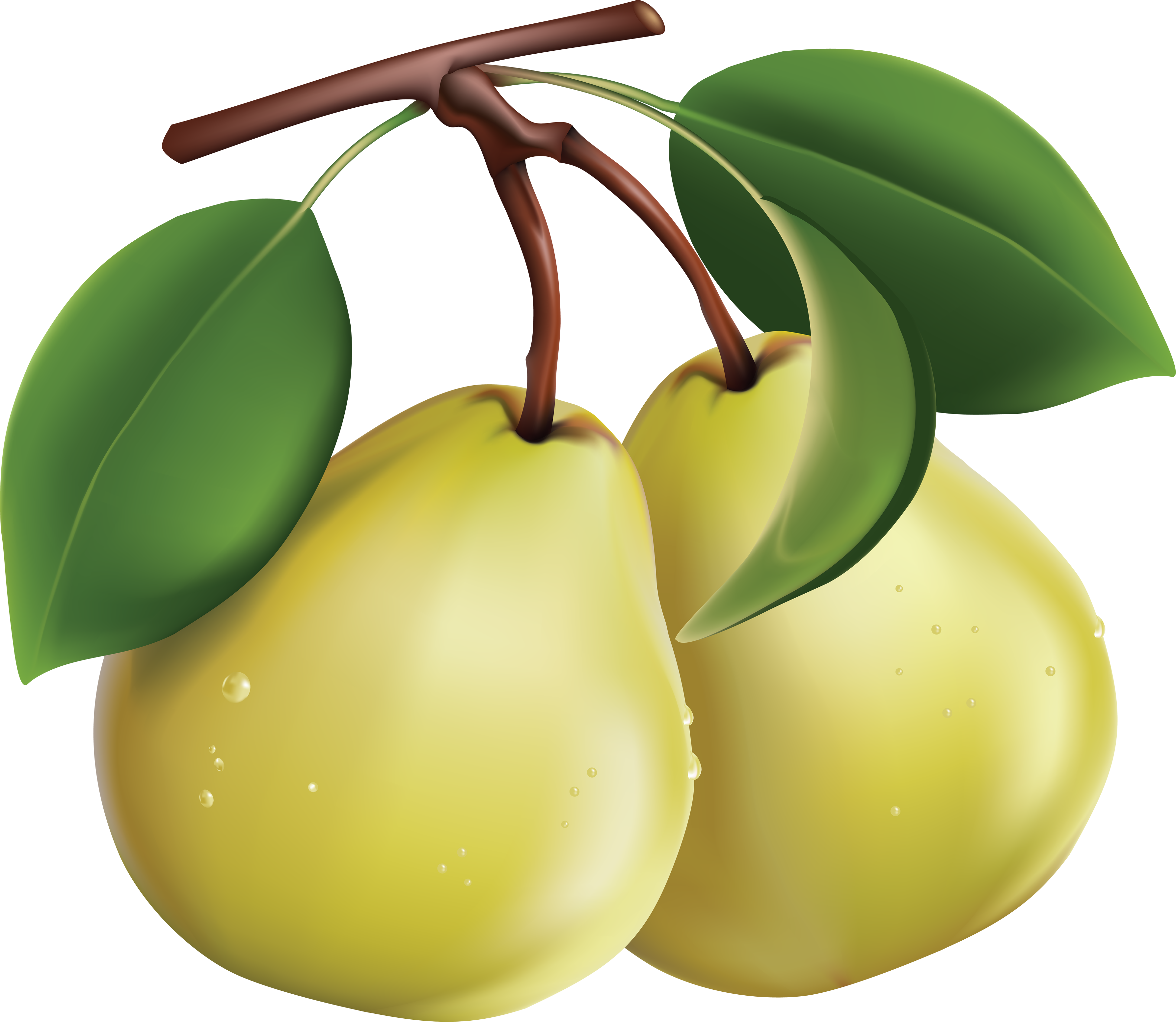 Download PNG image - Fresh Green Pears PNG Image 