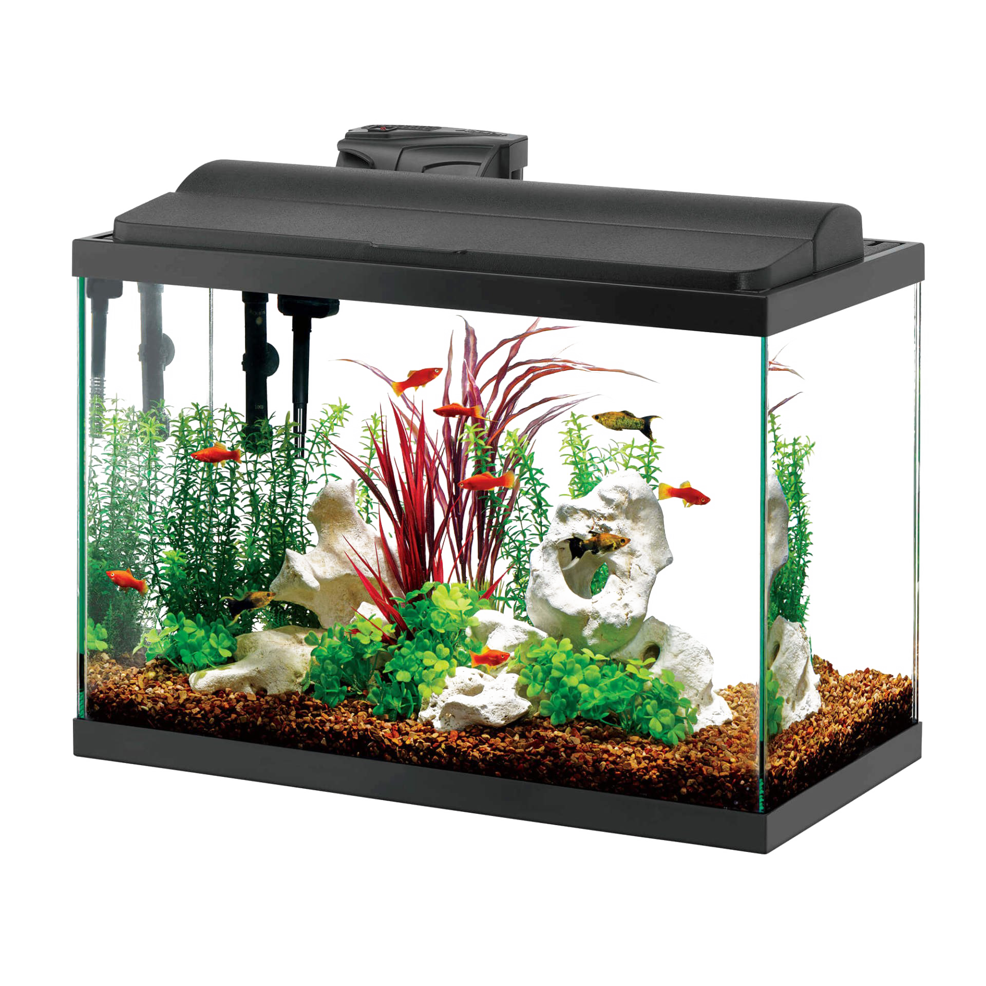Download PNG image - Fresh Water Fish Tank Aquarium Transparent PNG 