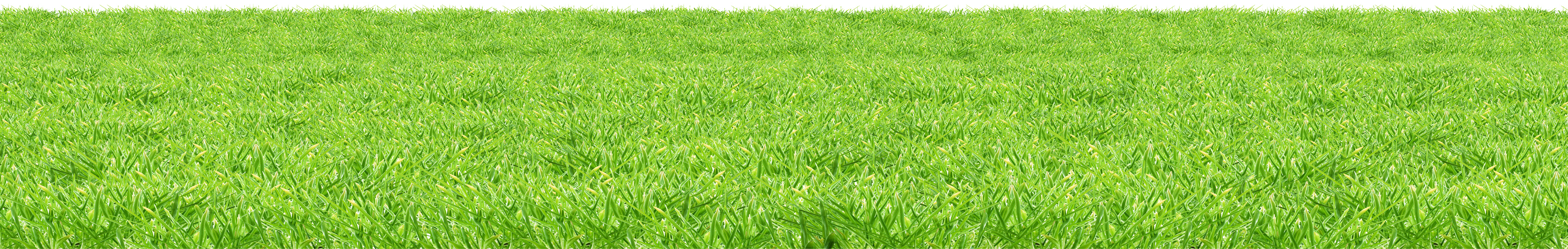 Download PNG image - Lawn Grass PNG Background Image 