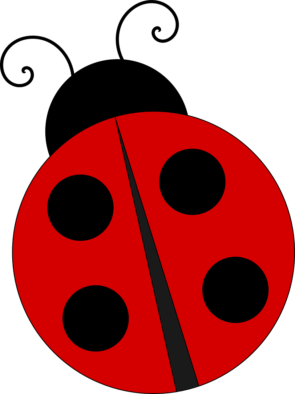 Download PNG image - Vector Ladybug Insect PNG Transparent Image 