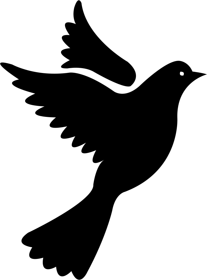 Download PNG image - Vector Peace Pigeon PNG Free Download 