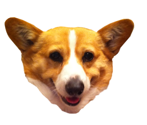 Download PNG image - Cute Corgi Dog PNG Free Download 