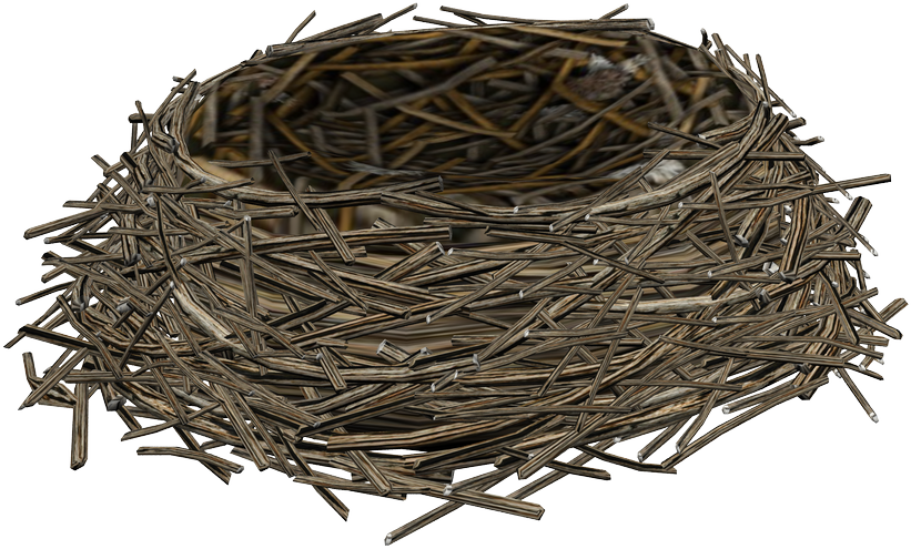 Download PNG image - Empty Bird Nest PNG 