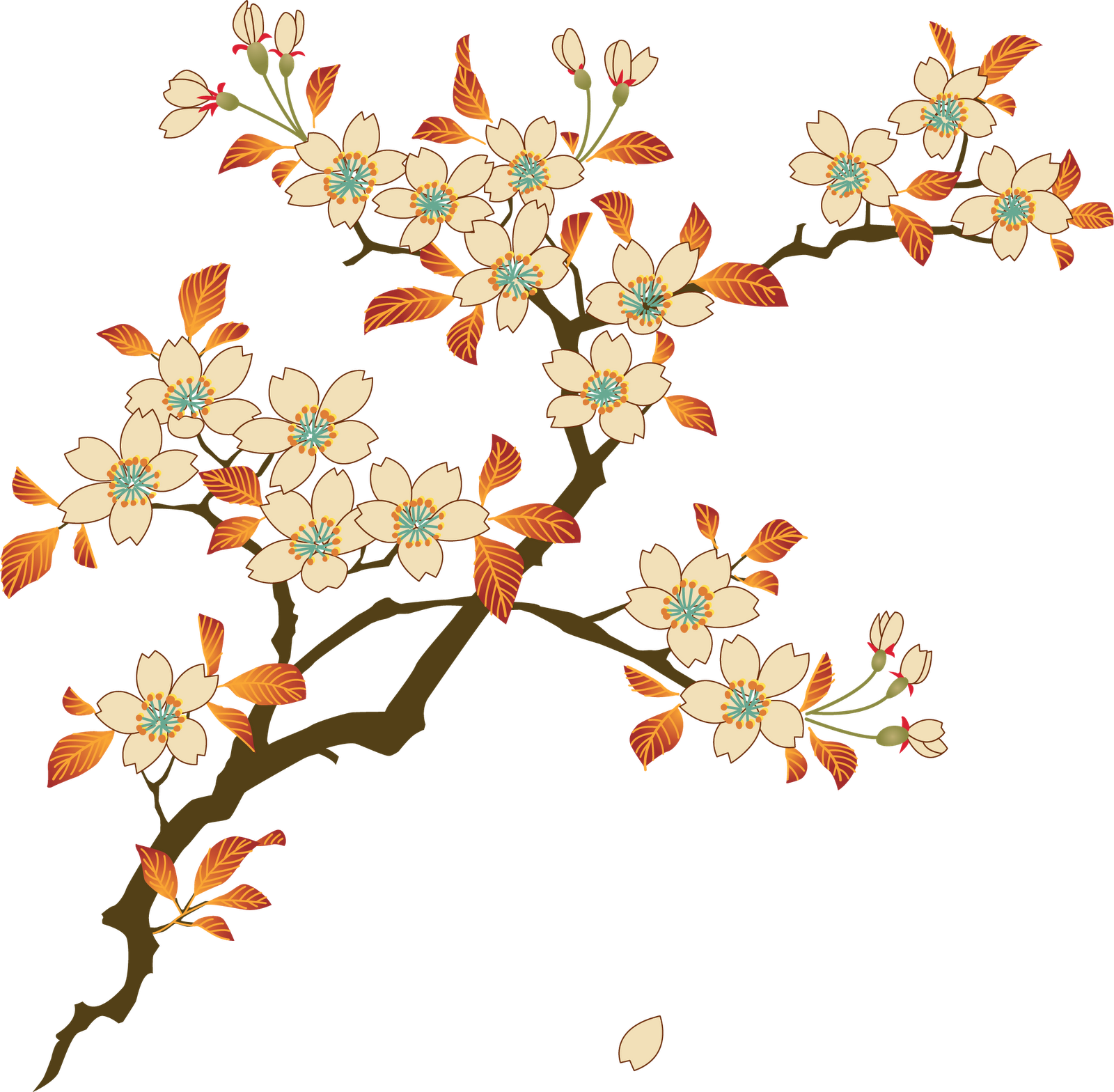 Download PNG image - Floral PNG Photos 