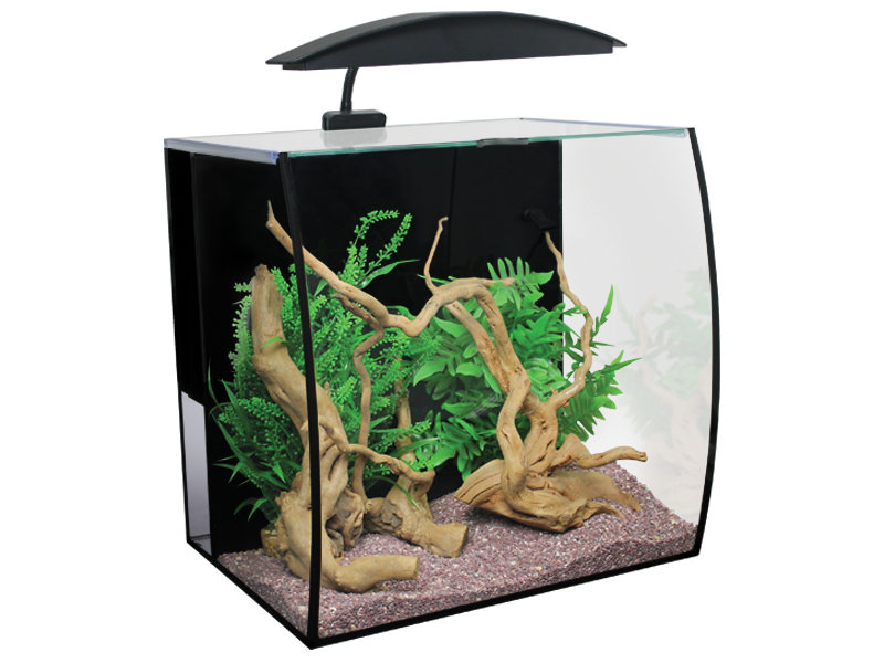 Download PNG image - Glass Aquarium Fish Tank PNG Free Download 