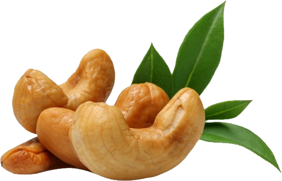 Download PNG image - Organic Cashew Nut PNG File 