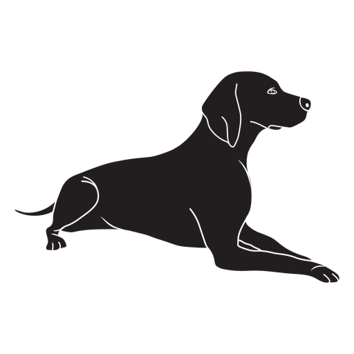 Download PNG image - Sitting Black Labrador Dog Transparent PNG 