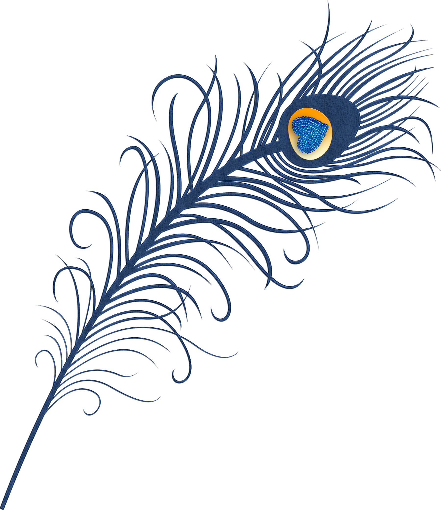 Download PNG image - Vector Peacock Feather Transparent PNG 