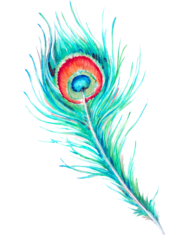 Download PNG image - Watercolor Feather PNG Picture 