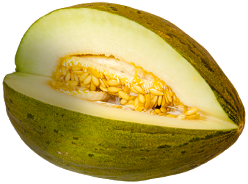 Download PNG image - Green Cantaloupe Transparent Background 