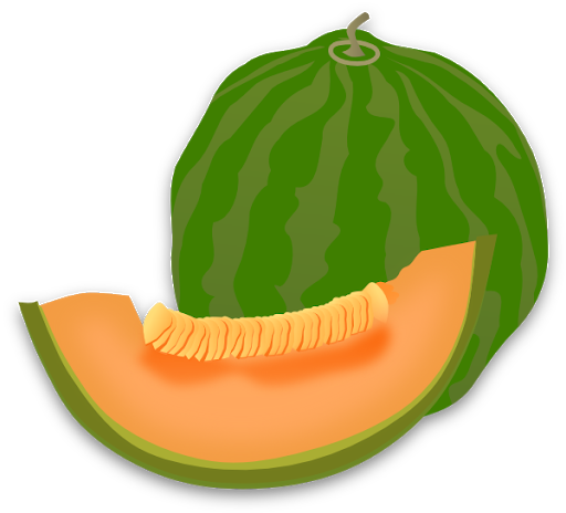 Download PNG image - Green Cantaloupe Transparent PNG 