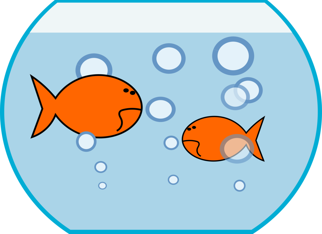 Download PNG image - Round Fish Tank Vector Transparent PNG 