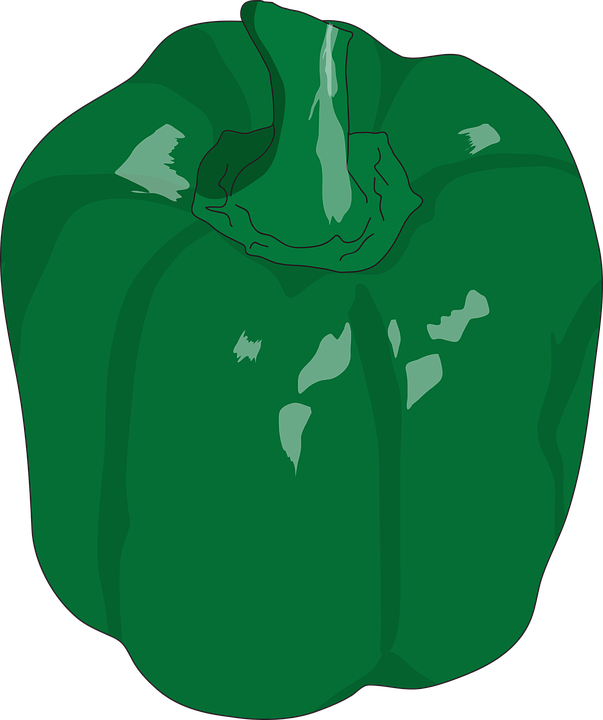 Download PNG image - Vector Green Bell Pepper PNG Image 