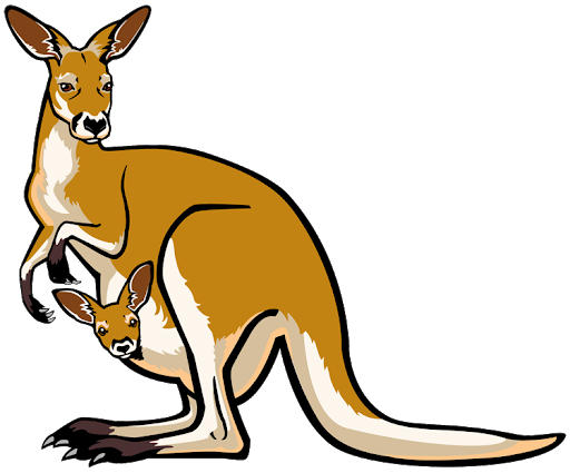 Download PNG image - Vector Kangaroo PNG Pic 