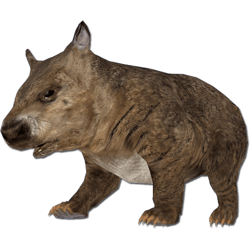 Download PNG image - Wombat PNG Pic 