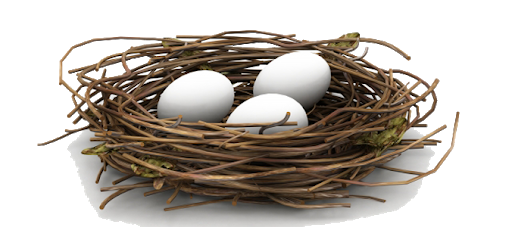 Download PNG image - Bird Nest White Eggs PNG 