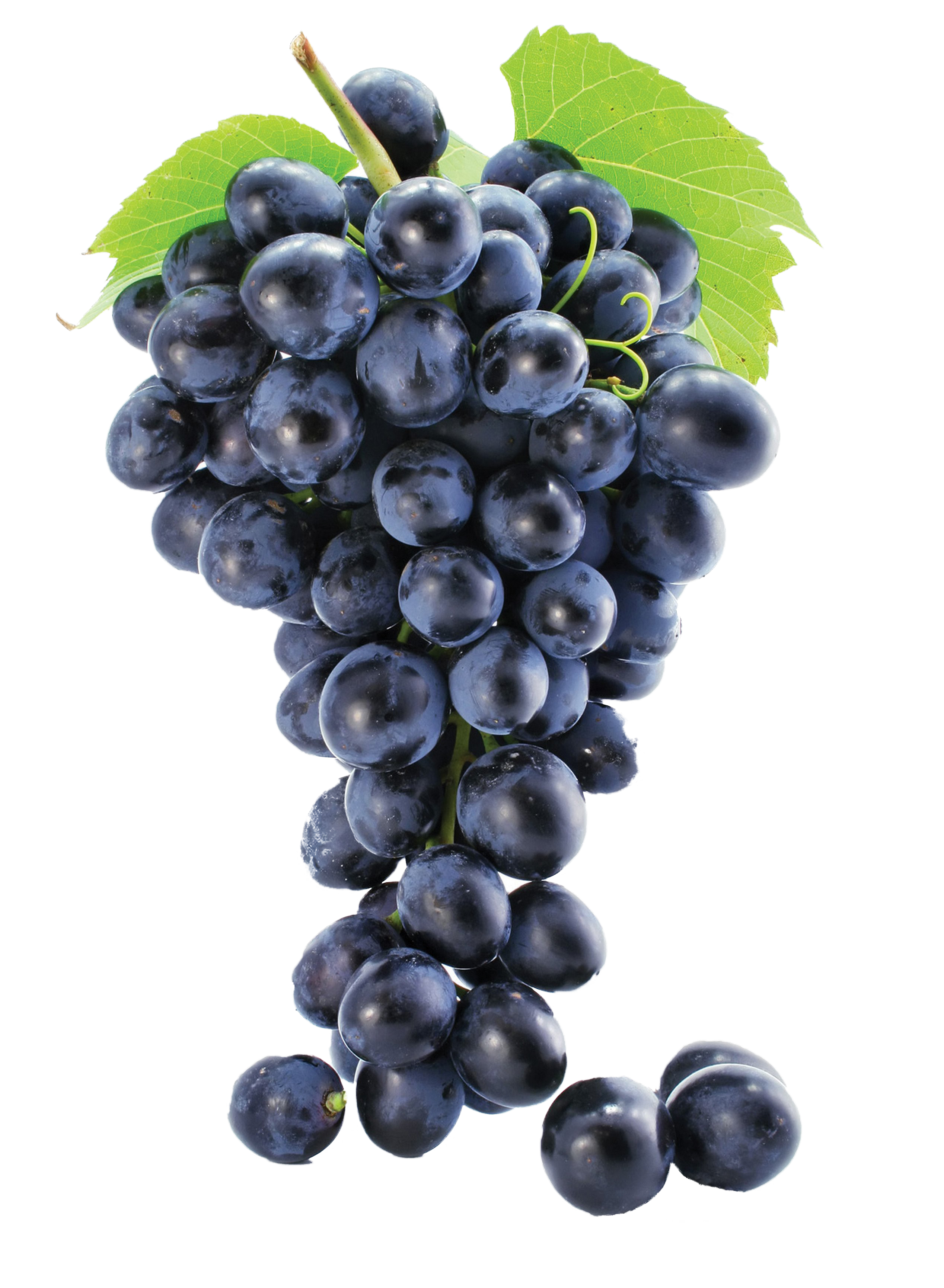 Download PNG image - Black Grapes PNG Photos 