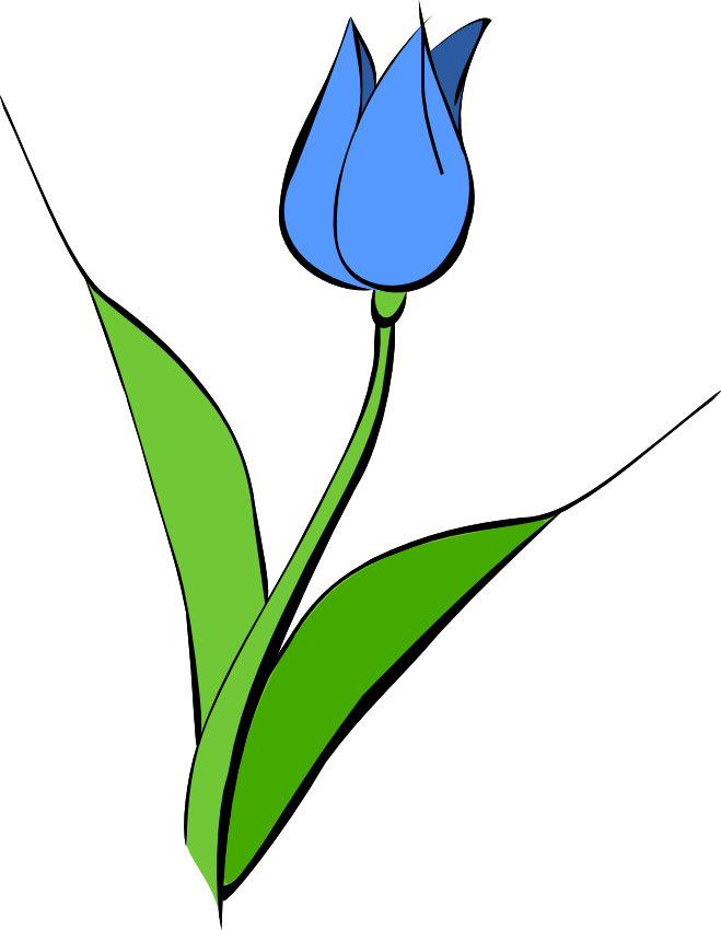 Download PNG image - Blue Tulip PNG HD Isolated 