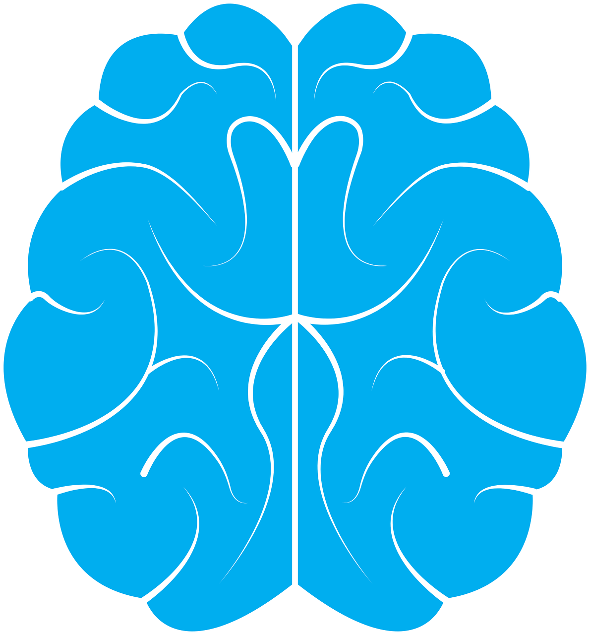 Download PNG image - Brain Transparent Isolated PNG 