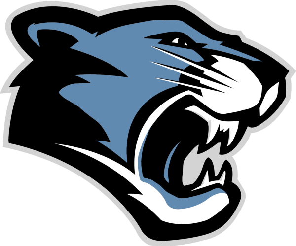 Download PNG image - Carolina Panthers PNG Transparent 