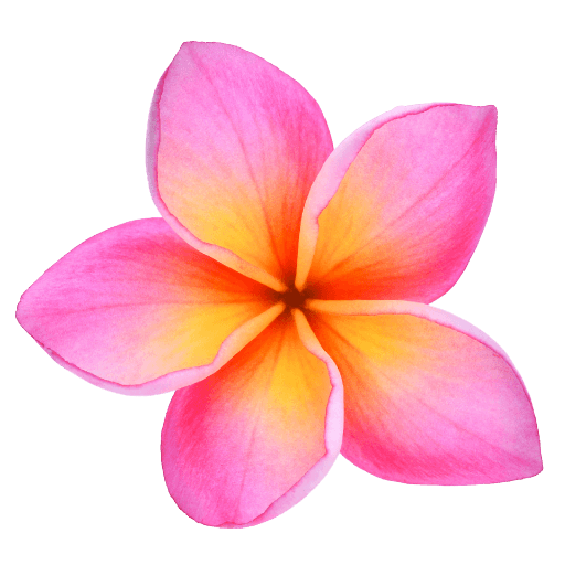 Download PNG image - Frangipani Flower PNG Transparent Image 