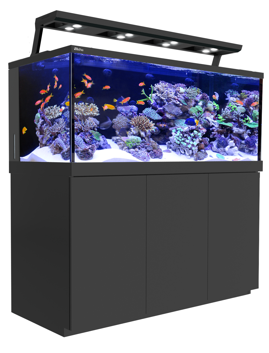 Download PNG image - Glass Aquarium Fish Tank PNG Transparent Image 