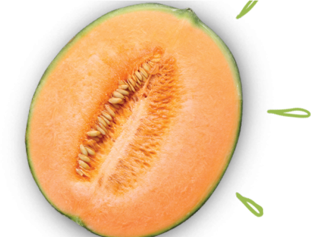 Download PNG image - Half Cantaloupe PNG File 