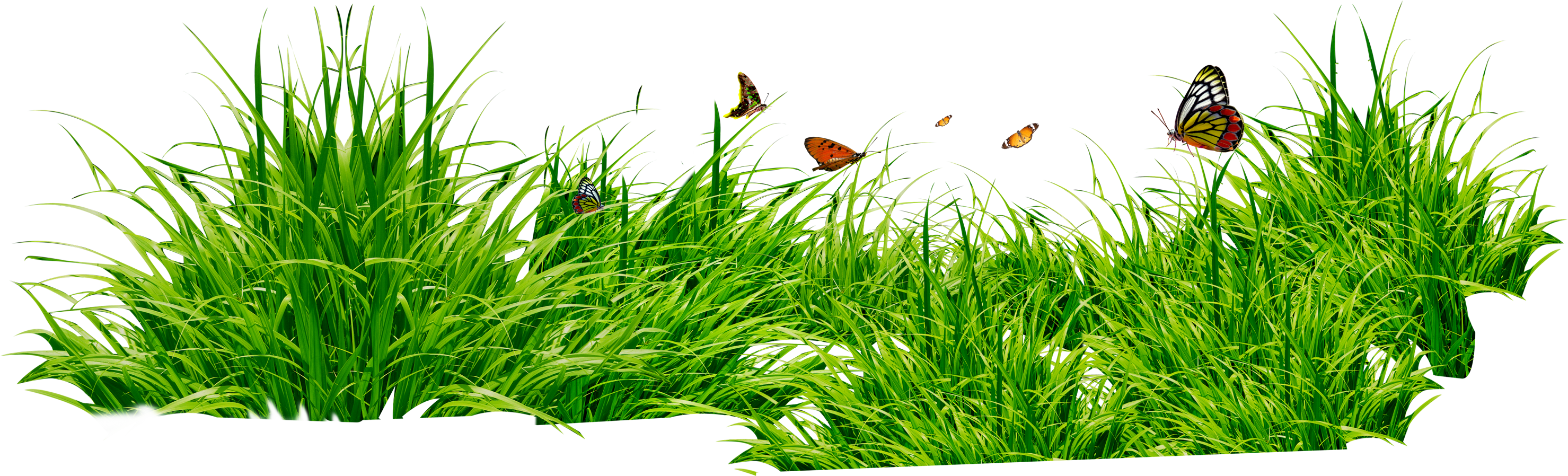 Download PNG image - Lawn Grass PNG Photo 