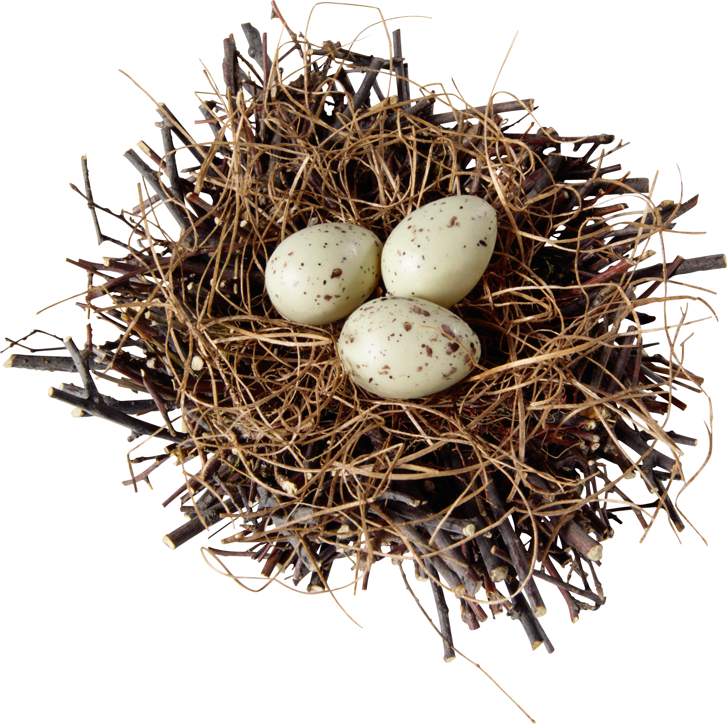 Download PNG image - Natural Bird Nest Transparent PNG 