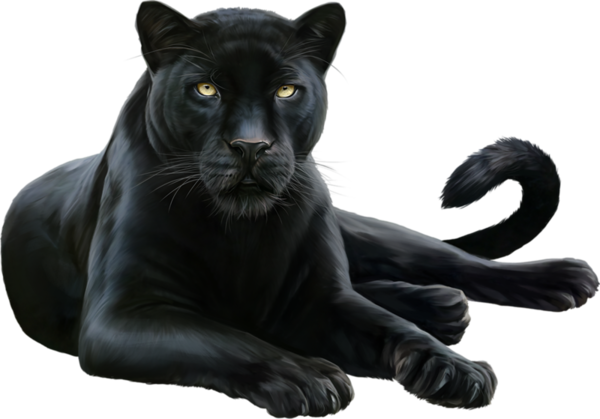 Download PNG image - Panther PNG HD 