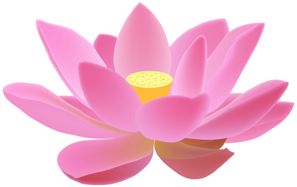 Download PNG image - Pink Lotus Flower PNG Image 