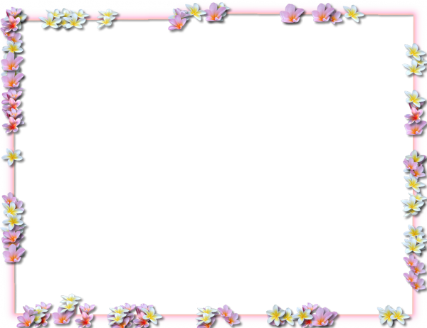 Download PNG image - Square Flower Border Frame PNG Clipart 