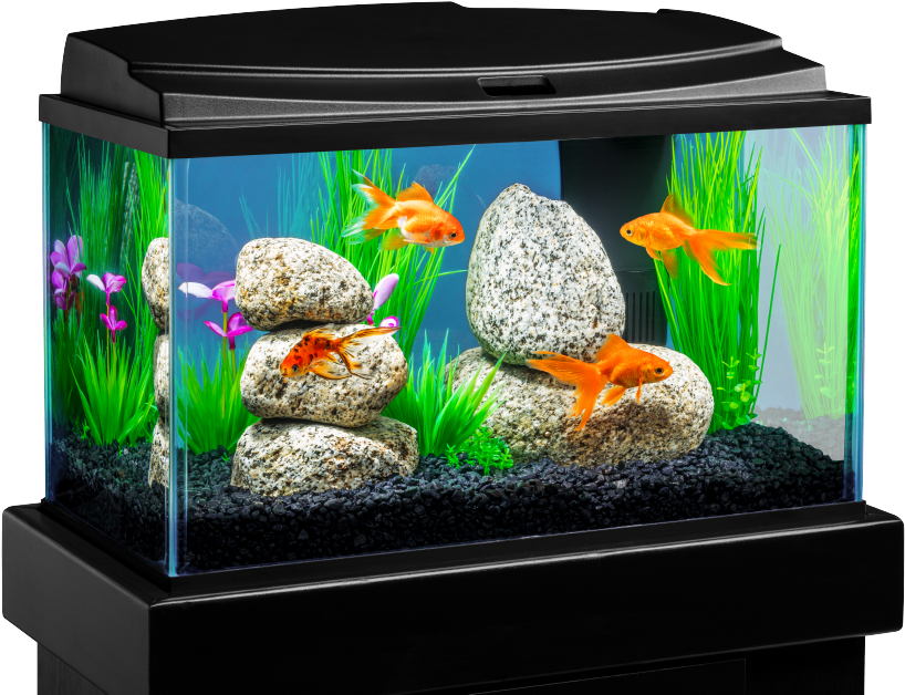 Download PNG image - Tropical Fish Tank Transparent PNG 