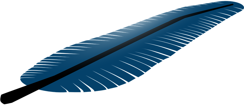 Download PNG image - Vector Blue Feather PNG File 