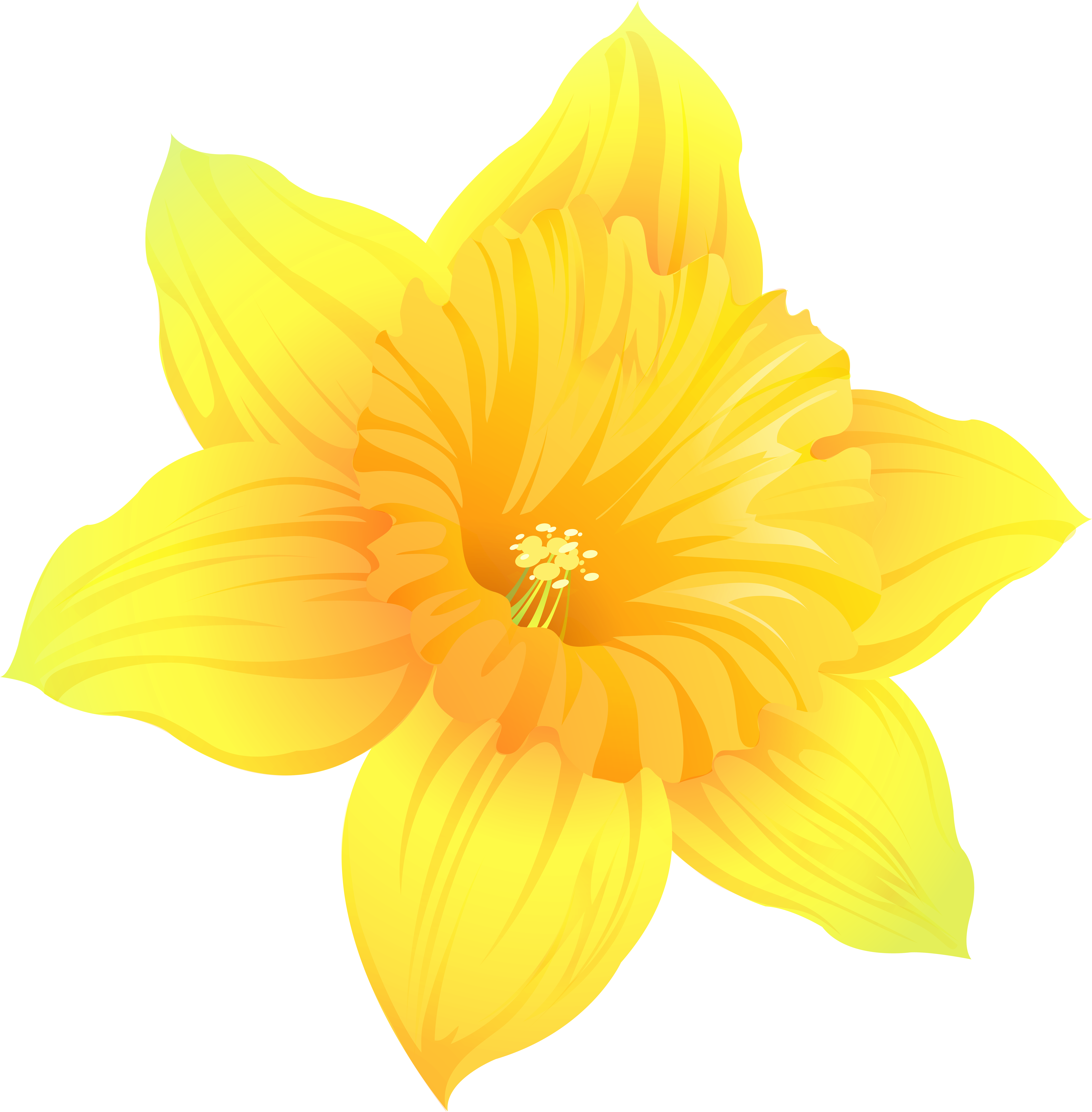 Download PNG image - Yellow Daffodil PNG Photo 