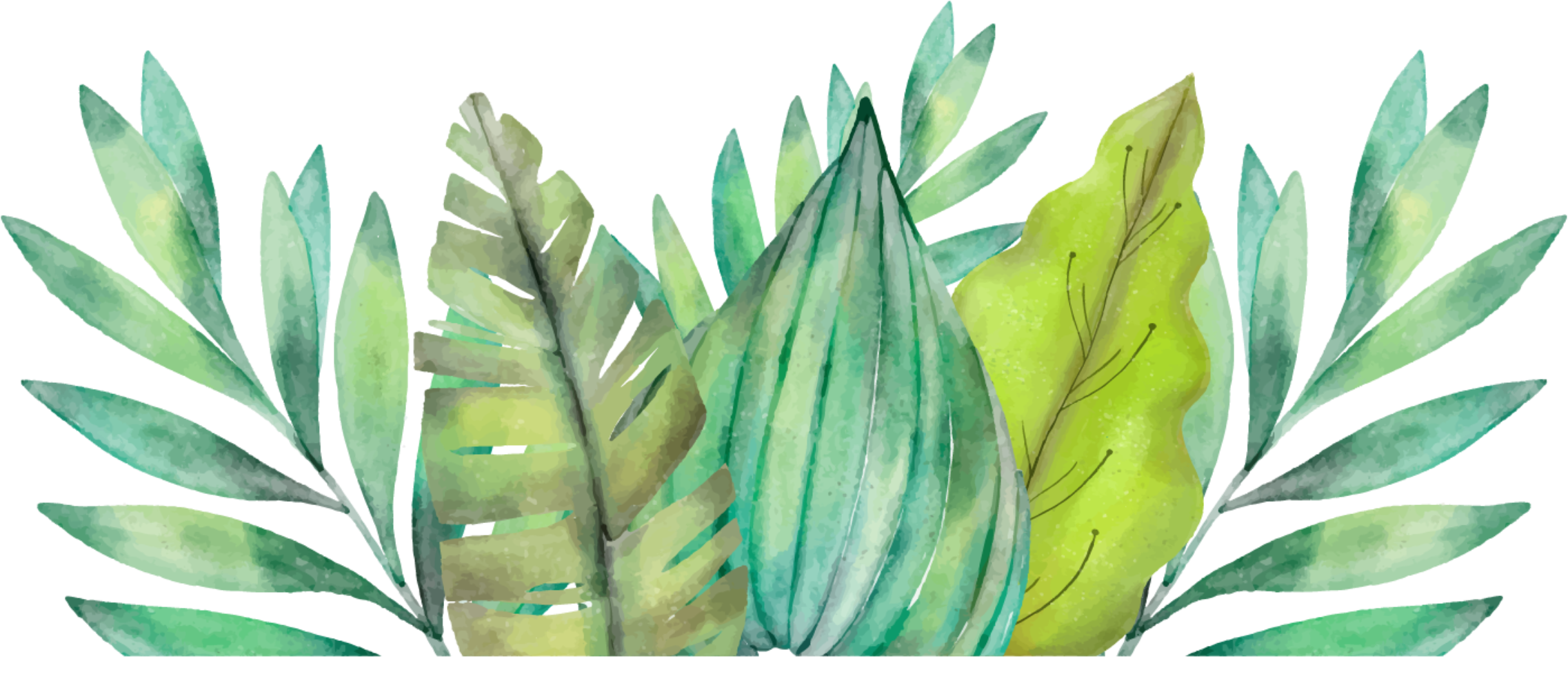 Download PNG image - Amazon Rainforest PNG Picture 