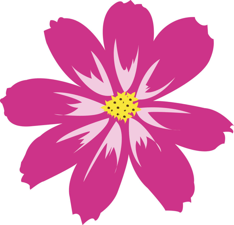 Download PNG image - Aster PNG HD 