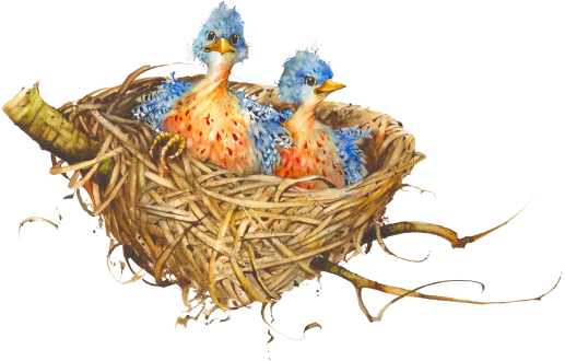 Download PNG image - Bird Nest Art PNG 