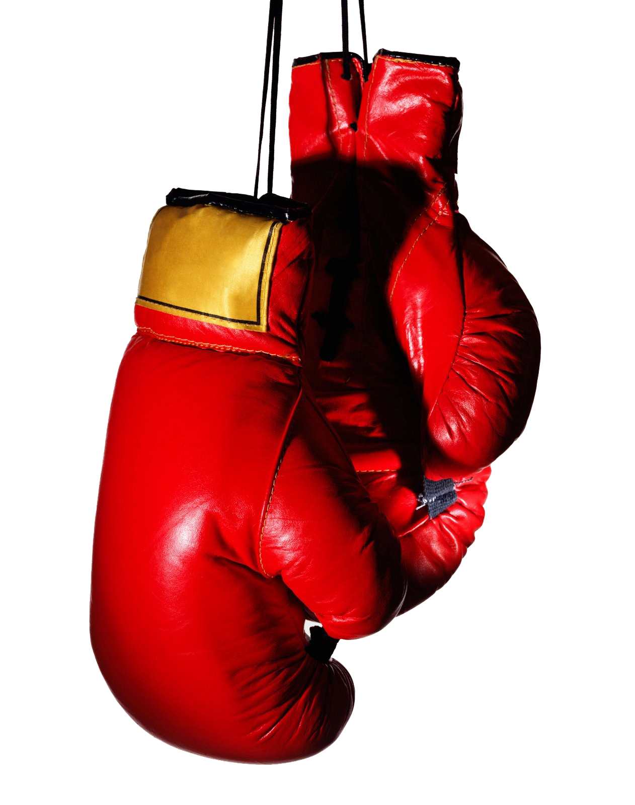 Download PNG image - Boxing Gloves PNG Transparent Image 