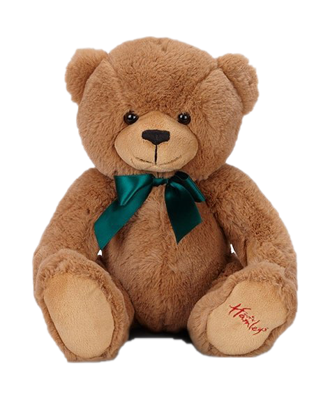 Download PNG image - Brown Teddy Bear PNG Image 