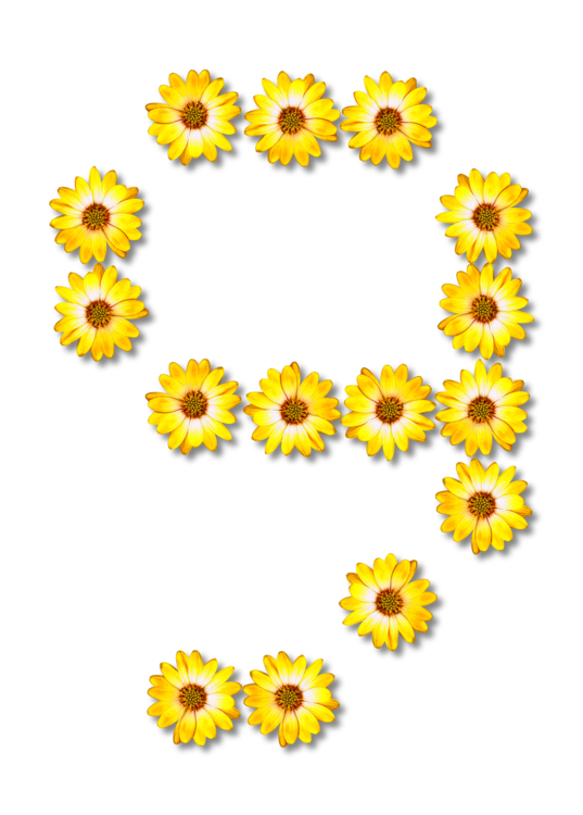 Download PNG image - Floral Number PNG Background Image 
