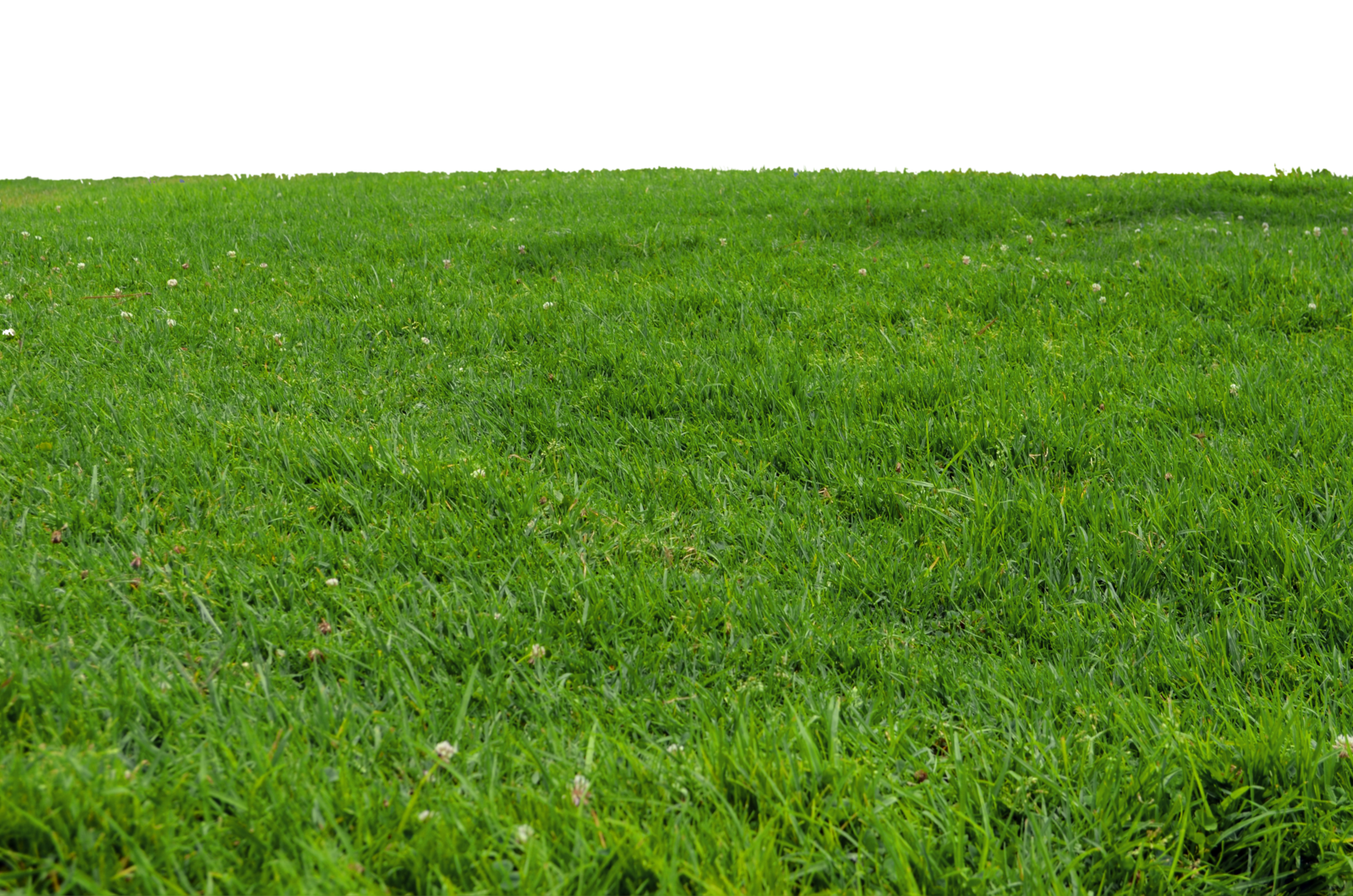 Download PNG image - Lawn PNG Free Download 