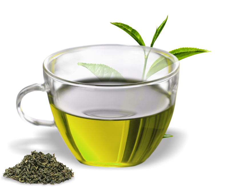 Download PNG image - Mint Organic Green Tea PNG Clipart 