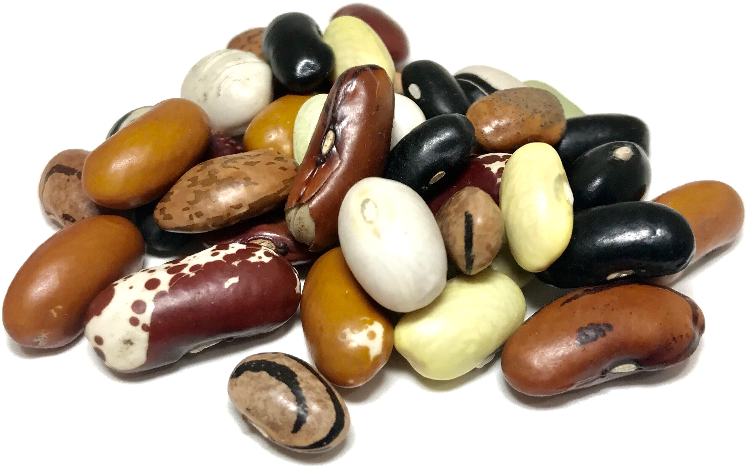 Download PNG image - Mixed Kidney Beans PNG 