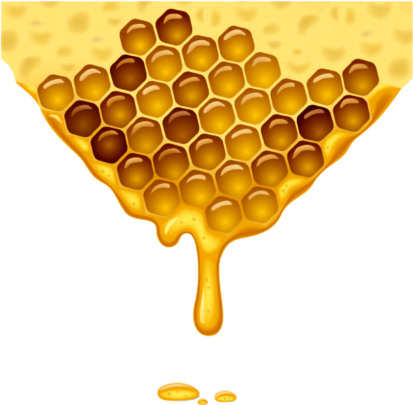 Download PNG image - Organic Honeycomb PNG Photos 