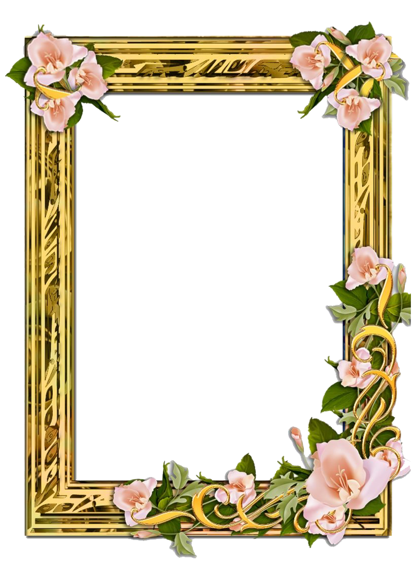Download PNG image - Poppy Flower Frame PNG Transparent Image 