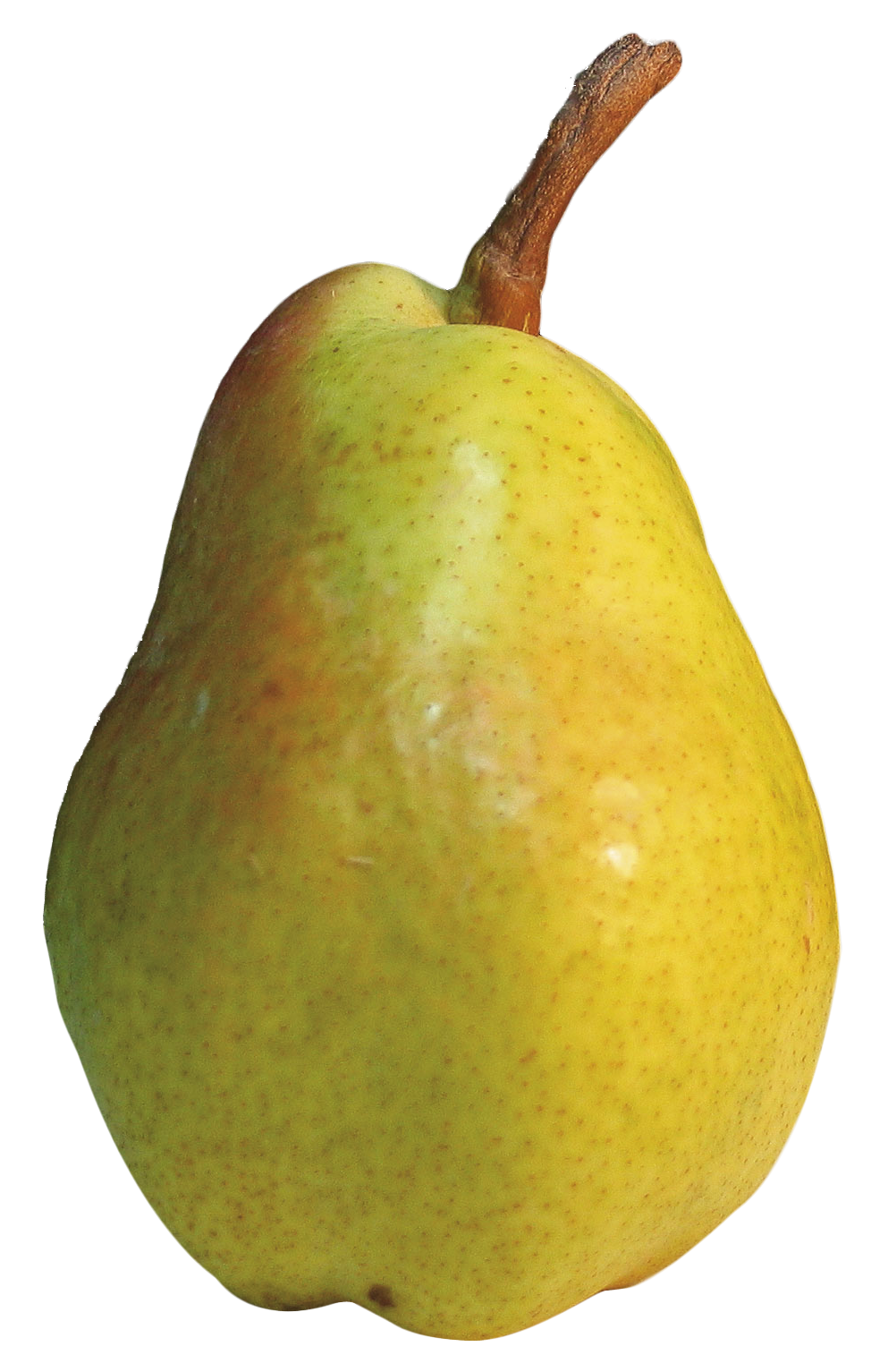 Download PNG image - Asian Pear PNG Pic 