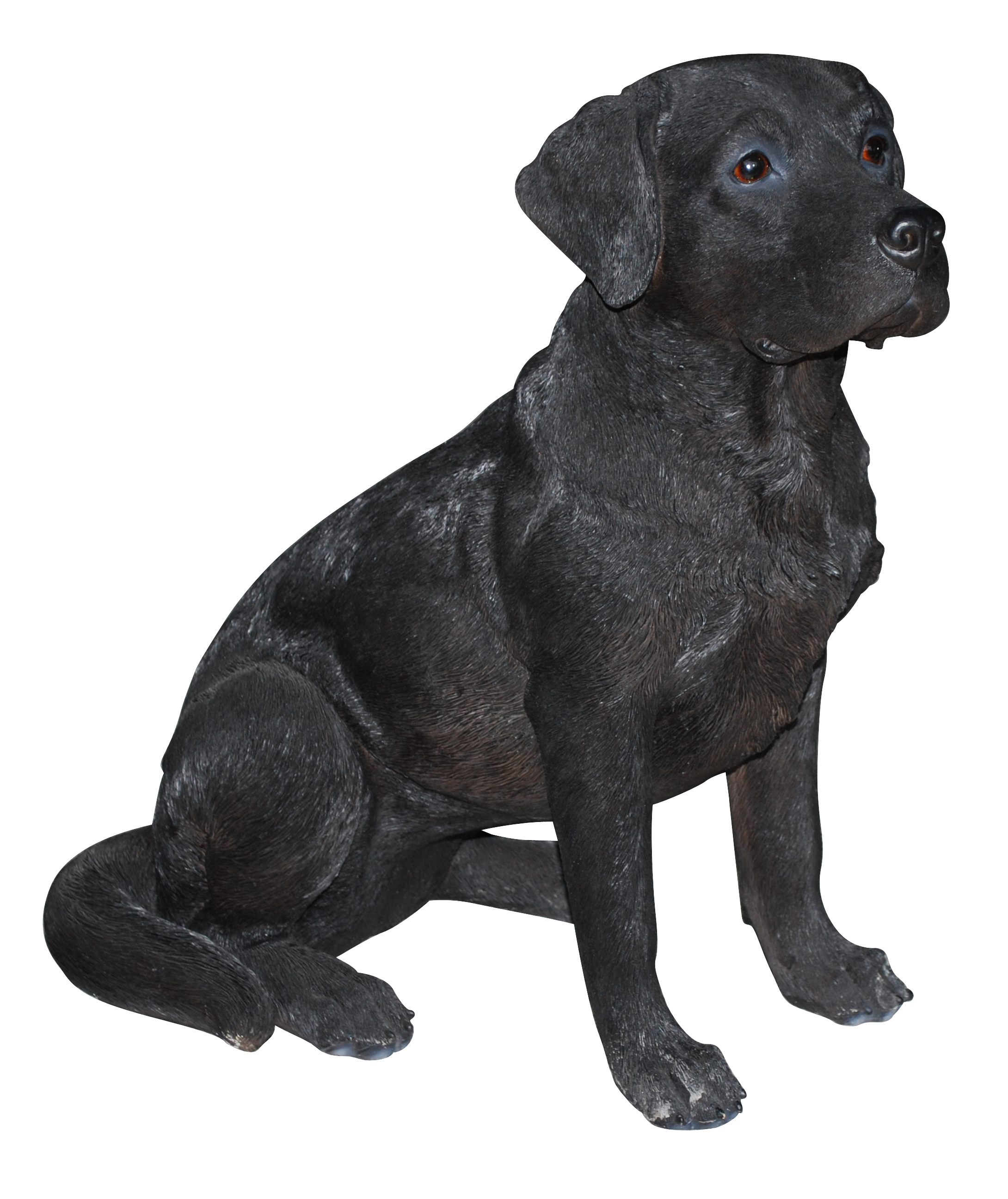 Download PNG image - Black Labrador Dog Retriever Sitting PNG 